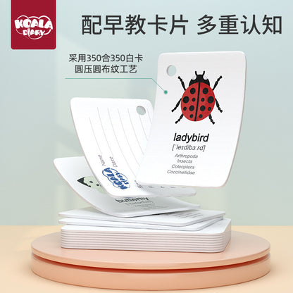 Children's outdoor adventure insect observation box parent-child interactive camping set play house toys holiday gifts wholesale